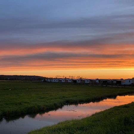 Charmante Maisonnette Proche Plage Et Commerces Blonville-sur-Mer Bagian luar foto